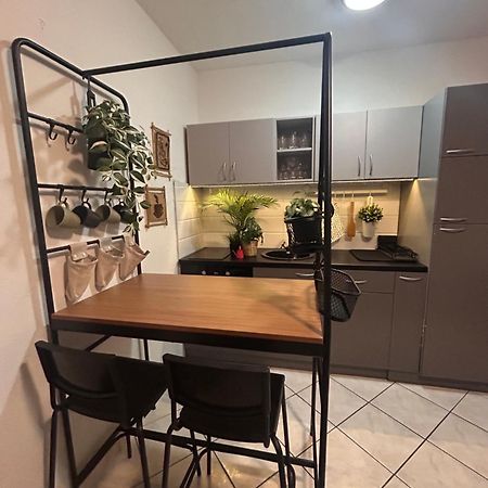 Studio Lucica Petrovac Extérieur photo