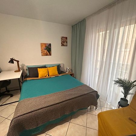 Studio Lucica Petrovac Extérieur photo