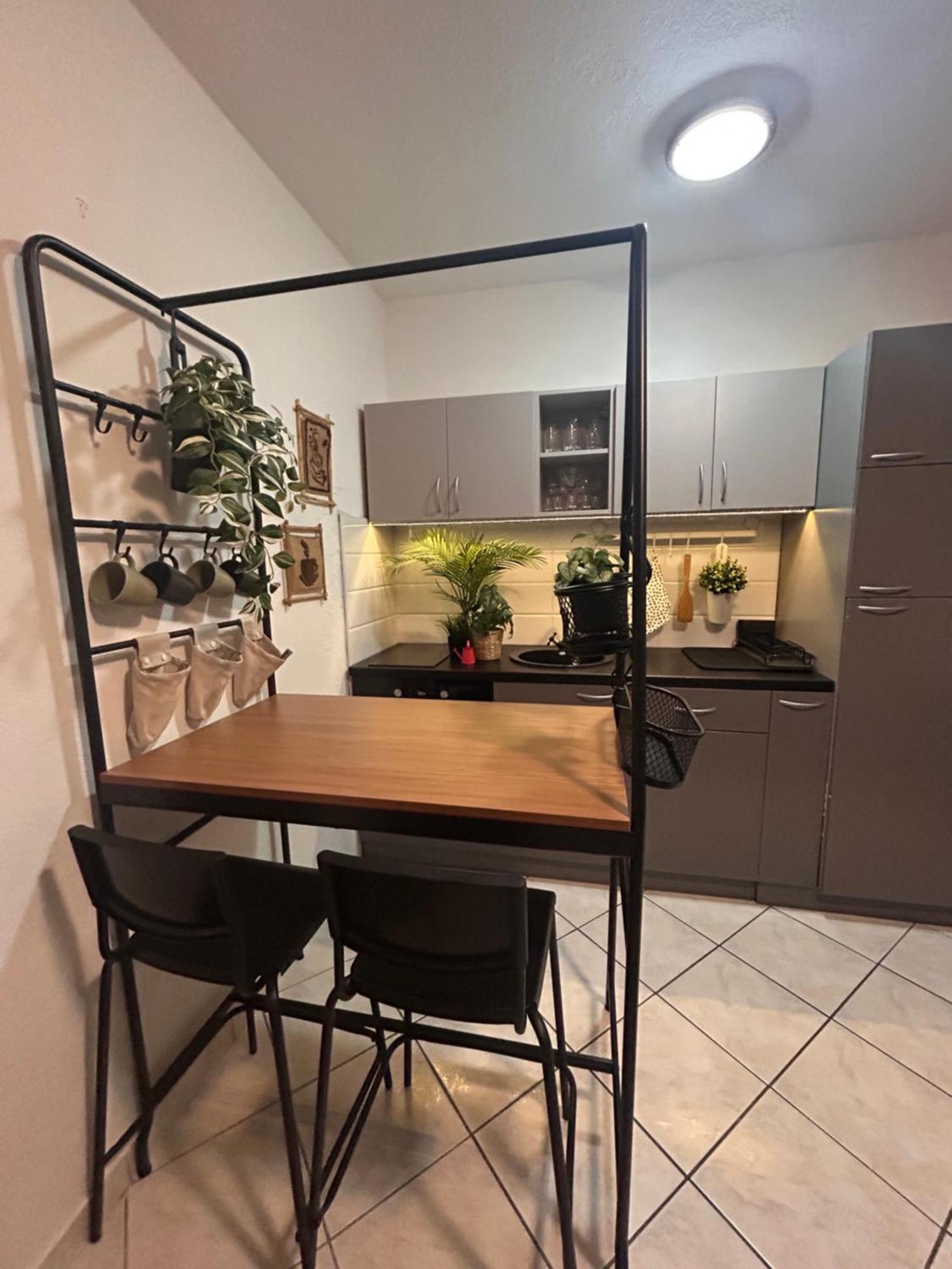 Studio Lucica Petrovac Extérieur photo